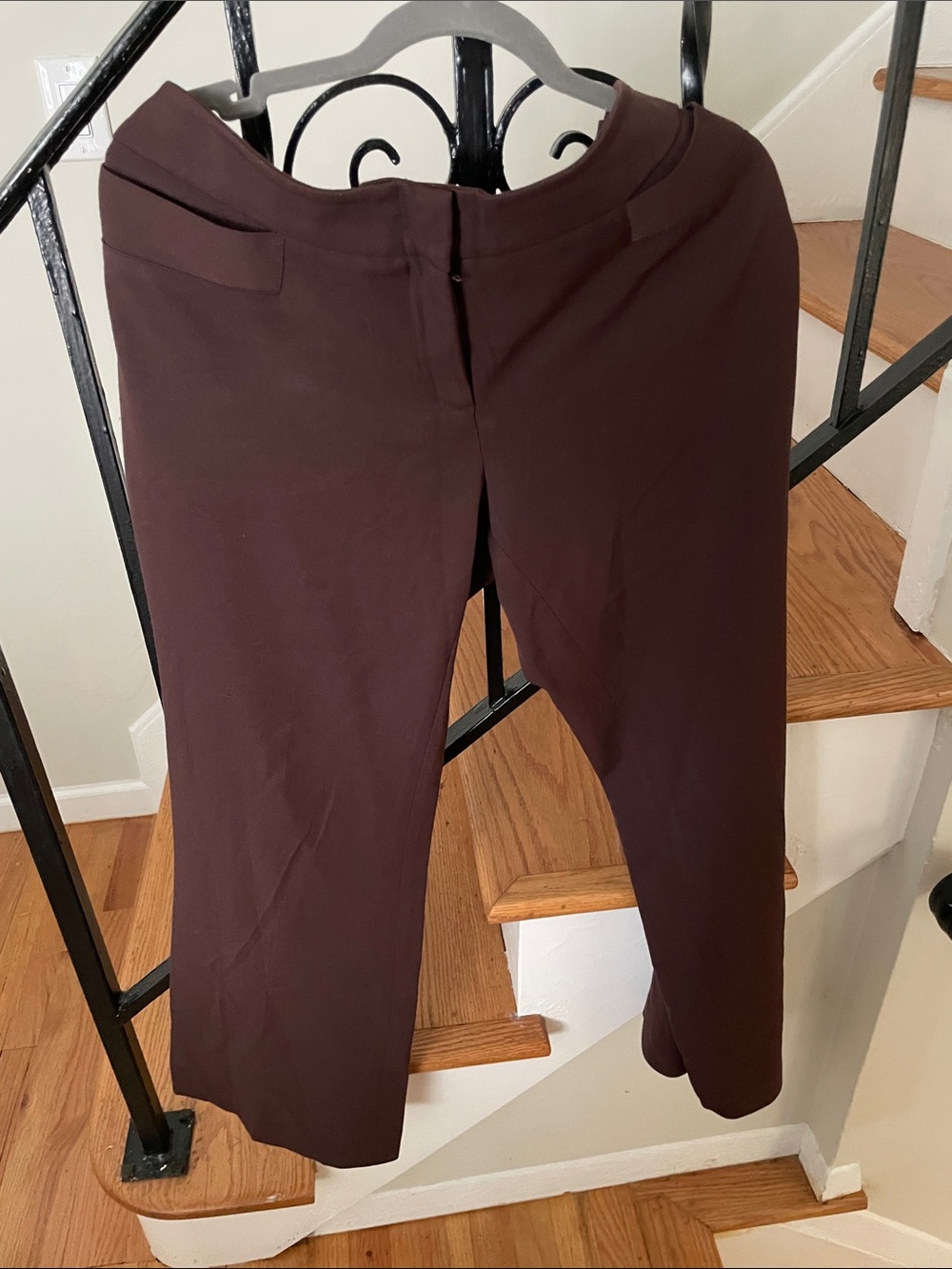 Women's Tailored Pull-On Dress Pants in Dark Brown